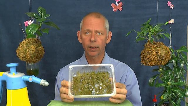 Die Welt der Pflanzen entdecken Sphagnum und mehr смотреть онлайн