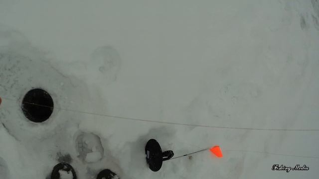 ТАМ, ГДЕ НЕТ РЫБАКОВ И ЕСТЬ ЩУКА! Отличный утренний клев на микроречке Х на жерлицы. смотреть онлайн