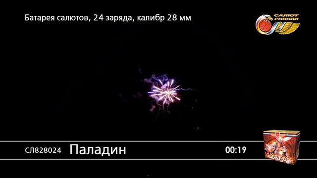 СЛ828024 Паладин смотреть онлайн