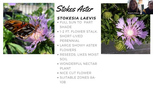 PCFNPS Presents: An Introduction To The Benefits Of Florida Native Plants