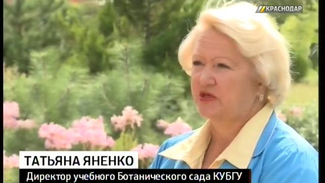 В ботаническом саду КубГУ впервые массово зацвел ликорис смотреть онлайн
