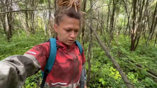 Собираю самую ароматную лесную ягоду и готовлю ее на зиму смотреть онлайн
