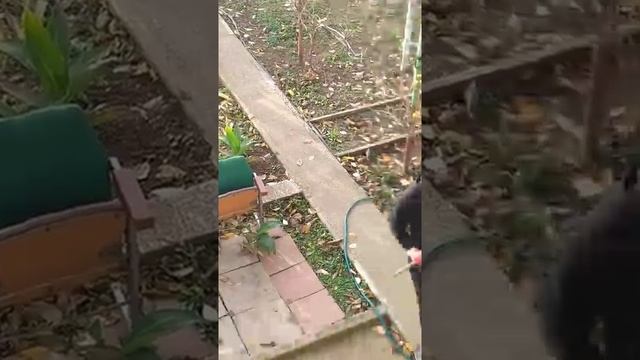 Пластиковая пивная кега 30 литров БАБАХ смотреть онлайн