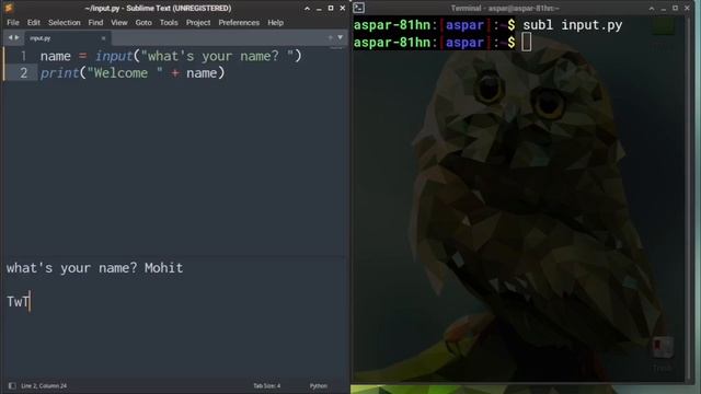 4: Using Sublime Text and Running Scripts - Python Programming Basics смотреть онлайн