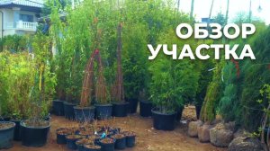 Ландшафтный дизайн. Обзор объекта в поселке Гринфилд #ландшафтныйдизайн