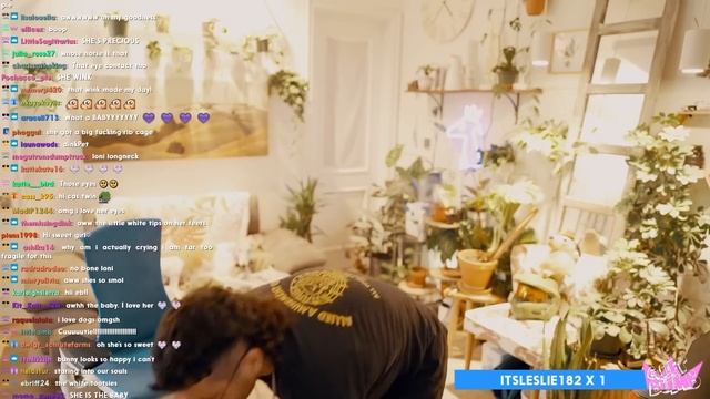 Знакомьтесь, наша новая собака 2022 ! - Джулиан и (Дженна Марблс) смотреть онлайн