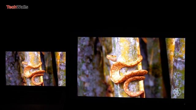 Dell U2723QE vs MacBook Pro's XDR Display - Playing SDR & HDR Content смотреть онлайн