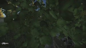 Потерянный контакт ｜ Квест терапевта ｜ Escape from Tarkov