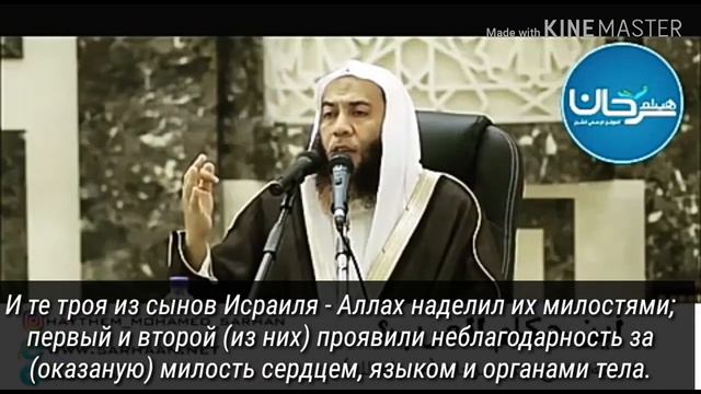 Шейх Хайсам Сархан: благодарность смотреть онлайн