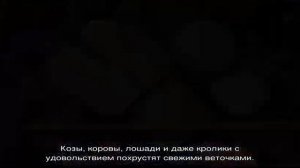 Как использовать измельченные ветки — превращаем отходы в полезные мелочи для дачи и огорода