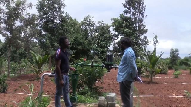 How to grow cardamom & Micro Sprinklers part 1 смотреть онлайн