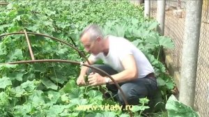 новый рецепт доктора Попова