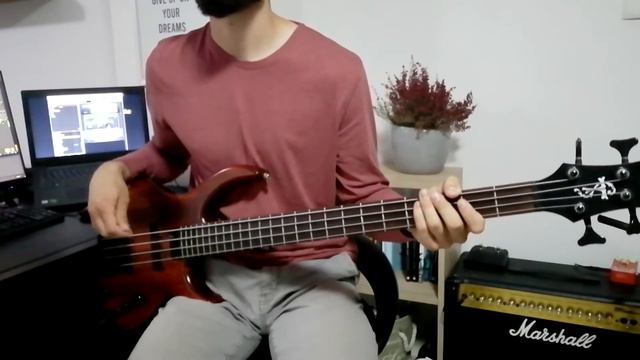 Lao Che - Nie Raj (Bass Cover) смотреть онлайн