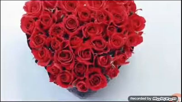 Поздравляю вас с днём святого Валентина смотреть онлайн