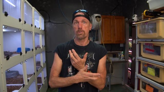 Animal Rescue! Giant snake has something growing in mouth! смотреть онлайн