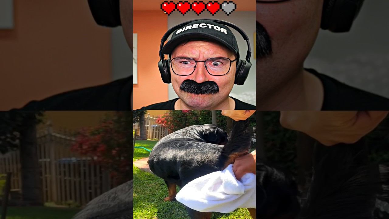 Нельзя смеяться | Засмеялся - проиграл 2 смотреть онлайн