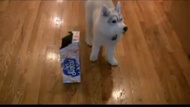 Головной убор для хаски смотреть онлайн