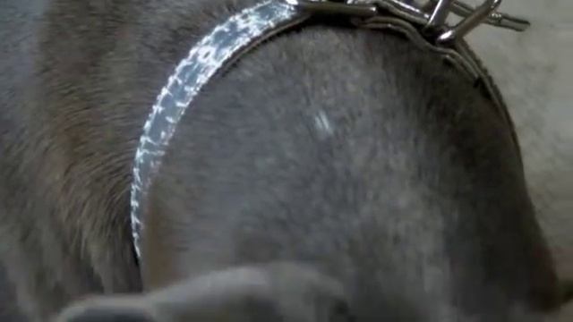 Sanyo Xacti vpc fh1a test смотреть онлайн