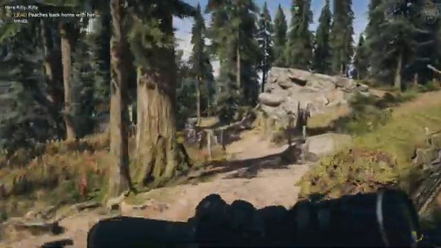 Far Cry 5 - Here Kitty, Kitty [Gameplay / Walkthrough]