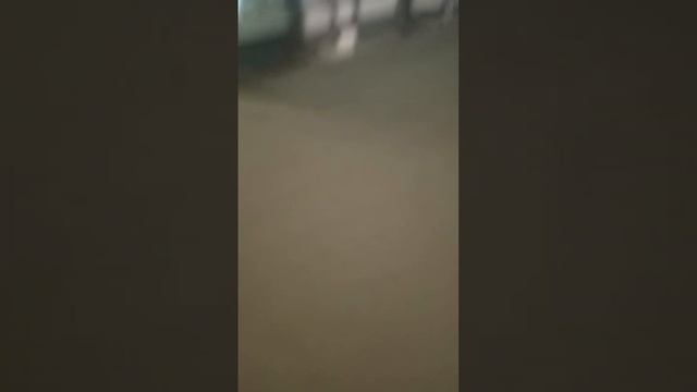 Учебник по Творчеству