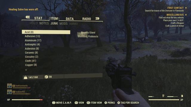 DREAMTEAM Fallout 76 Completes pt2-Bridges To Close To Fall смотреть онлайн