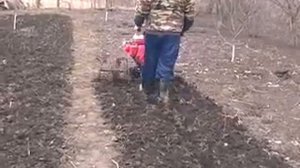фрезеровка огорода мотоблоком МД3 у тети