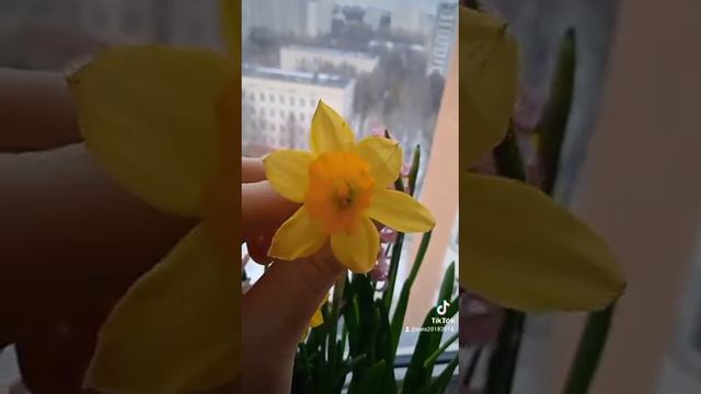 13 марта 2023 г. смотреть онлайн