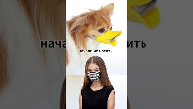 Кто первый ? #юмор #шутка #подумать #прикол смотреть онлайн
