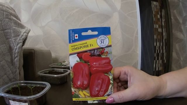 Замачивать семена перца или нет?Всходы перца из сухих и замоченных семян.14.02.2021 смотреть онлайн