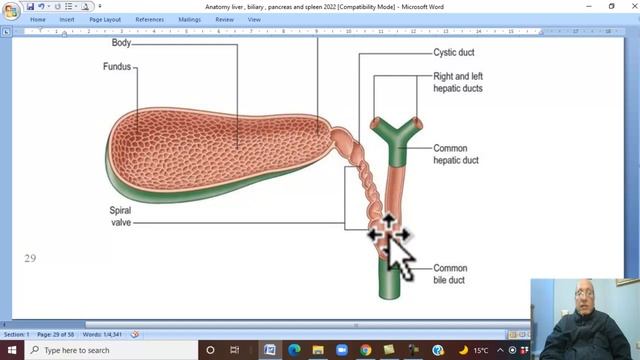 Anatomy GIT Module in English ( Biliary Passge ) , by Dr, Wahdan смотреть онлайн