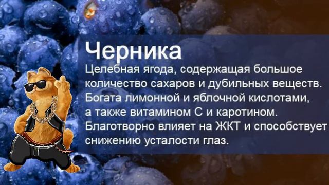 ПЕСНЯ "МАЛИНКИ". КАКИЕ ВИТАМИНЫ СОДЕРЖАТСЯ В МАЛИНЕ, КЛУБНИКЕ, ЧЕРНИКЕ, ЗЕМЛЯНИКЕ И Т. Д смотреть онлайн