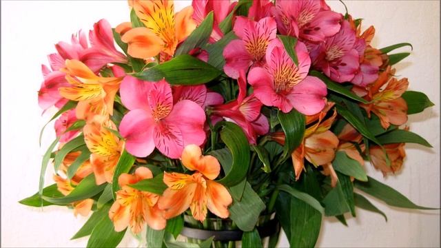 Ольга Захарова Не любила смотреть онлайн