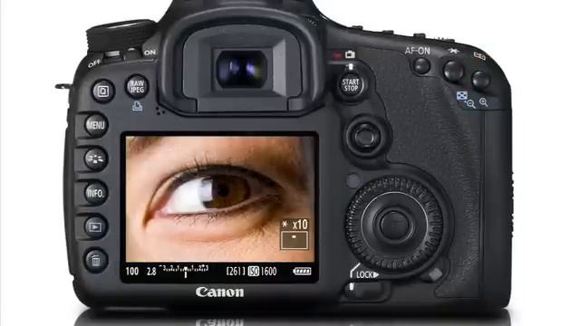 Canon EOS 7D - Live View Basics 10/16 смотреть онлайн