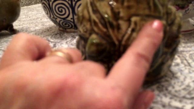 Винтажный фаянс и фарфор в старом французском доме☕️ смотреть онлайн