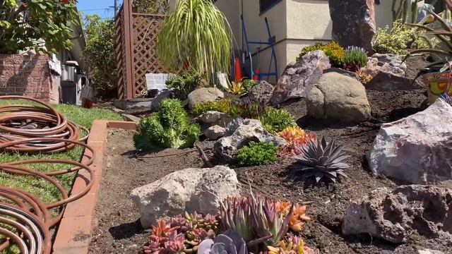 It’s Day 4 in Sunset Cliffs and Your Questions Answered😊 смотреть онлайн