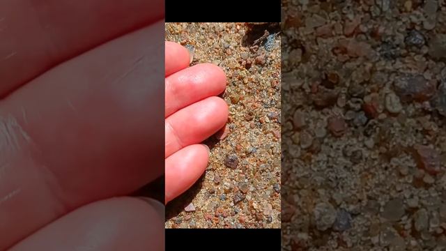 Веселый лягушонок смотреть онлайн