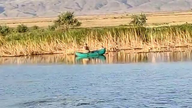 Рыбалка на заре Алаколя 06.08.2020 смотреть онлайн