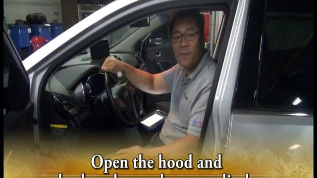 Hyundai 2013 Santafe DM 2 0 CRDI Injector Specific Data