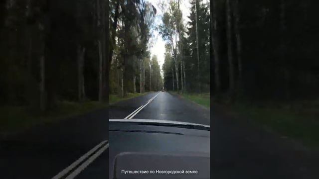 Путешествие по Новгородской земле 2021