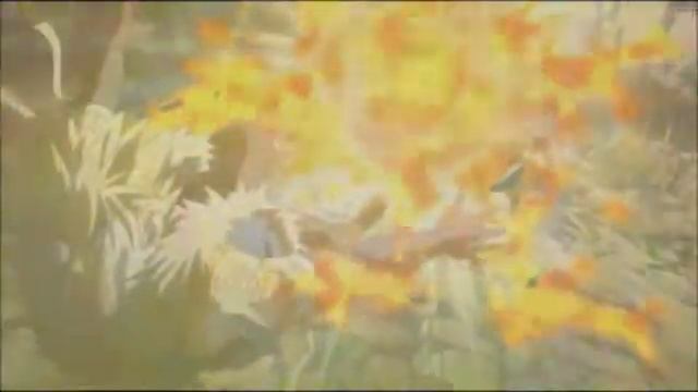 Хвост феи(дружба наша вечна)