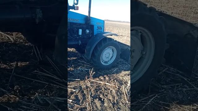дисковка подсолнуха" Паладой 3200". смотреть онлайн