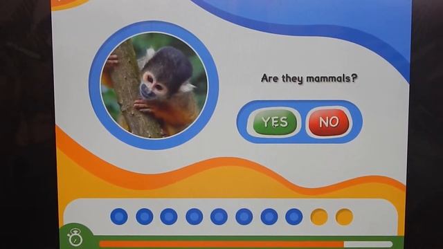 Animal Genius - Monkey смотреть онлайн