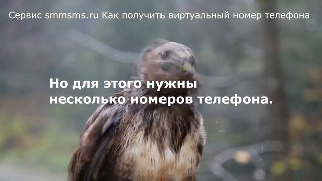 Сервис smmsms.ru Как получить виртуальный номер телефона смотреть онлайн