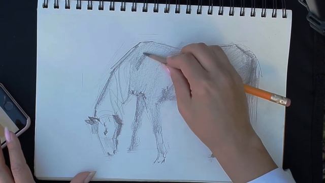 Наброски лошадей смотреть онлайн