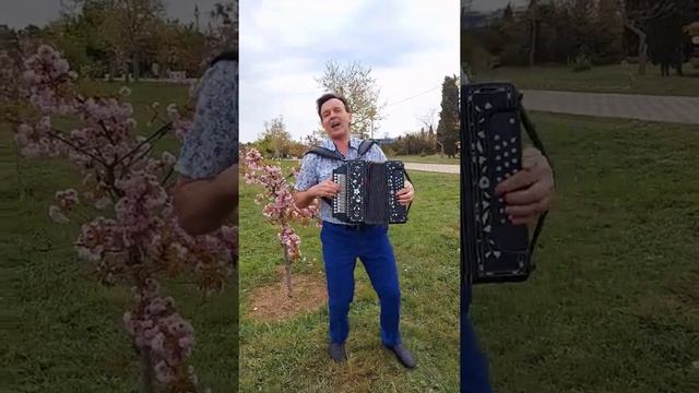 Мечты сбываются когда приходит любовь. Песни под гармонь. Владимир Кузнецов смотреть онлайн