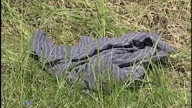 Эзотерический ум