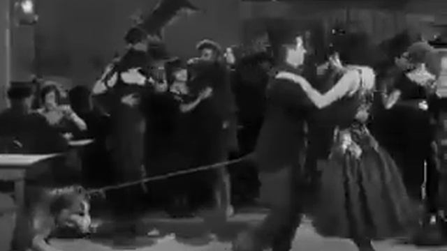 Самый лучший смешное видео смотреть онлайн