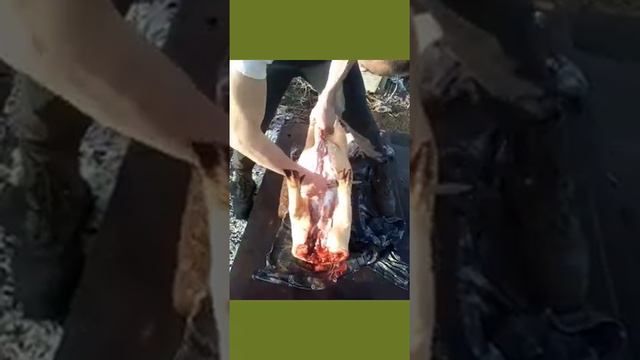Разделка свинки наш опыт смотреть онлайн