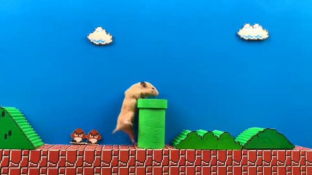 🐭 Super Mario Hamster Bros and Angry Birds 🐭 Hamster Maze Super Mario Nintendo [HORROR] смотреть онлайн
