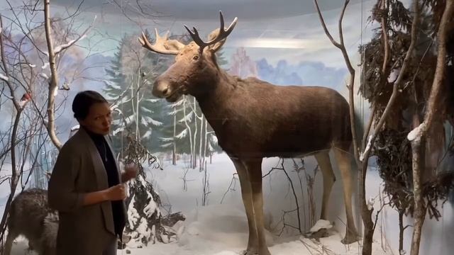 Природа и человек смотреть онлайн